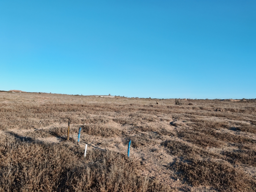 0 Bedroom Property for Sale in Langebaan Country Estate Western Cape